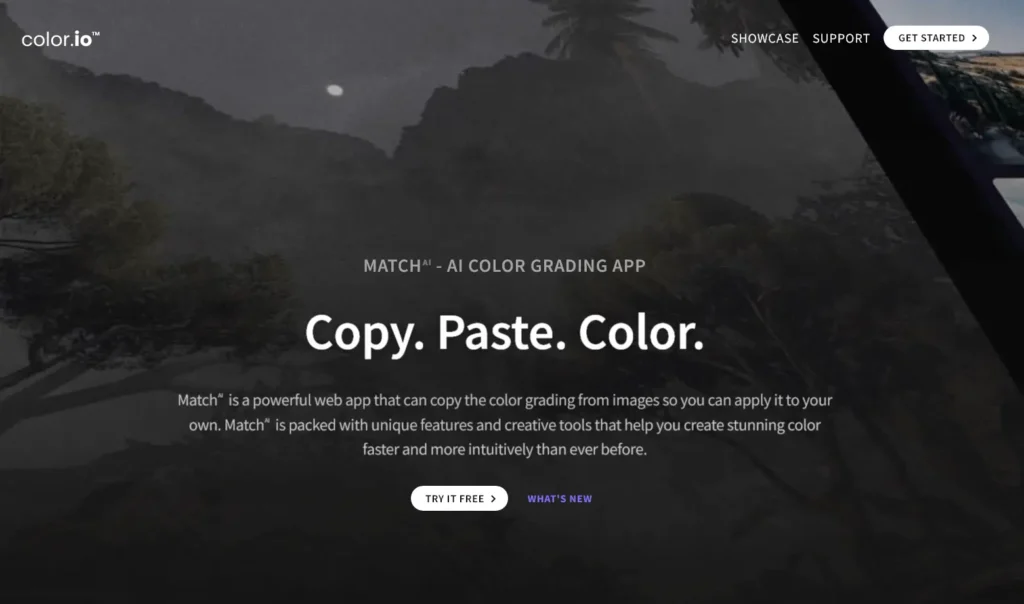 Match AI – AI Color Grading App