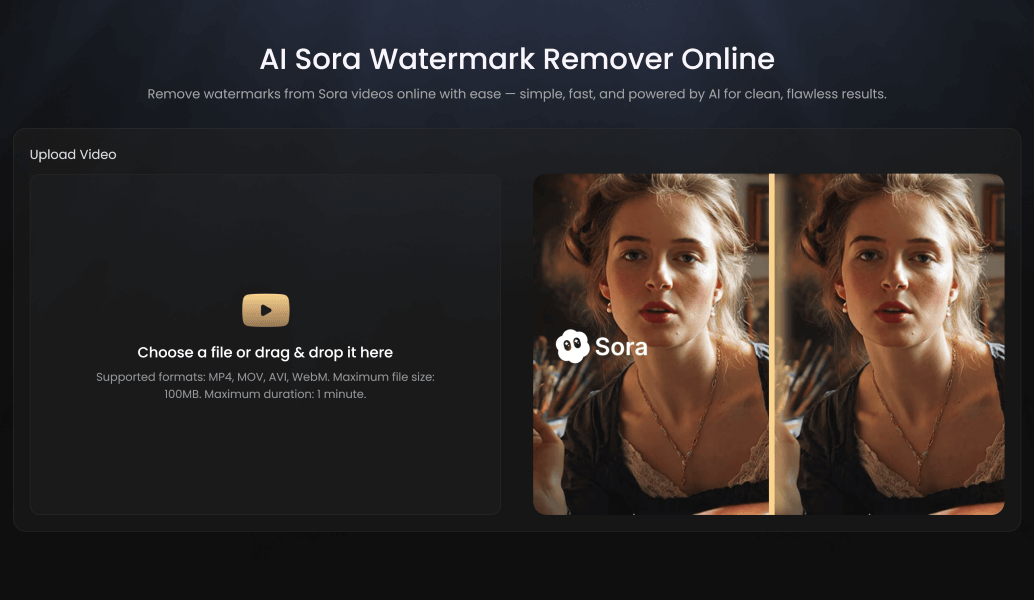 Fineshare Sora Watermark Remover Fineshare Sora Watermark Remover